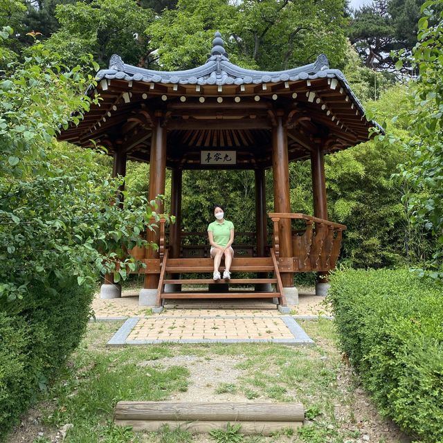 푸릇푸릇🪴숲에서 인생샷 건지기 강릉 오죽헌