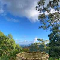 NATURE LOVER (Sibuyan Island)