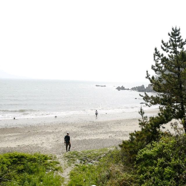 삽시도 밤섬 해수욕장 여행