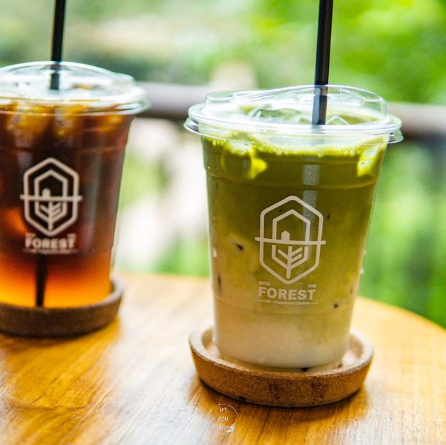 คาเฟ่ซ่อนตัวอยู่ท่ามกลางป่าเขาธรรมชาติ
