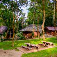 ชวนเที่ยวอุทยานน้ำตกห้วยยาง เพชรบุรี  งามมากๆ