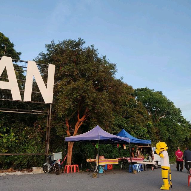 WANG KELIAN VIEW POINT