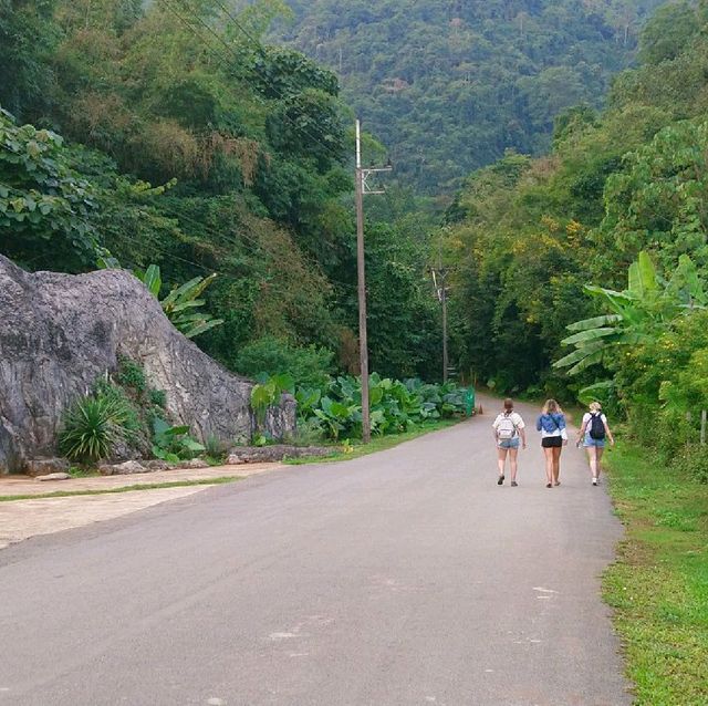 ถ้ำหลวง แม่สาย