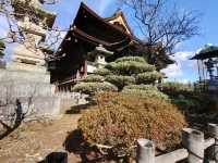 到長野必來善光寺行表參道,欣賞日本最古老佛像,買御守,求祝福