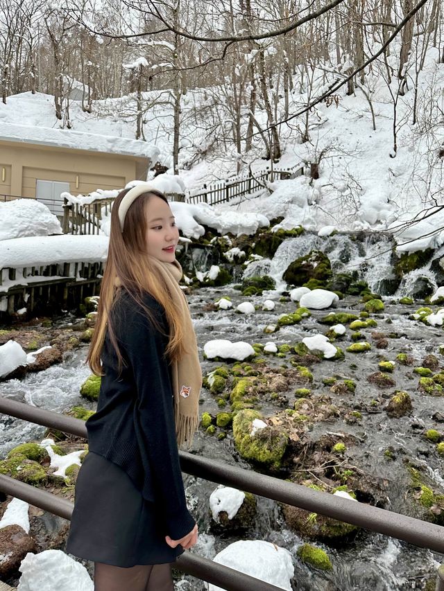 눈오는 날 더 매력적인 후키다시 공원 🏞️