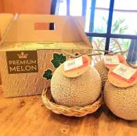 🐫🌵คาเฟ่ทะเลทรายสไตล์แอฟริกา สายคาเฟ่ไม่ควรพลาด