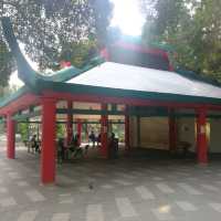 屯門公園❤️❤️