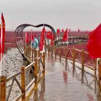 Red Beach in Panjin - China