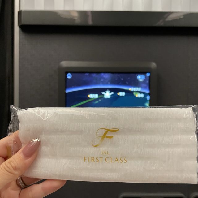 【那覇空港】JAL那覇→羽田　ファーストクラス搭乗記