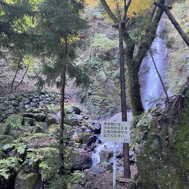 日本壯觀必訪的養老瀑布