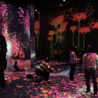 TeamLab Exhibition