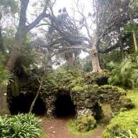 Secret Mysterious Garden in Azores 