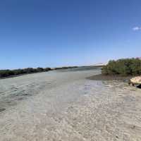 Christmas Day in Ras Mohamed 