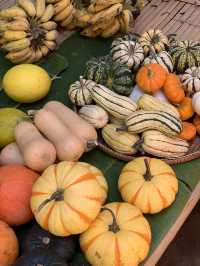 Jim Thompson Farm