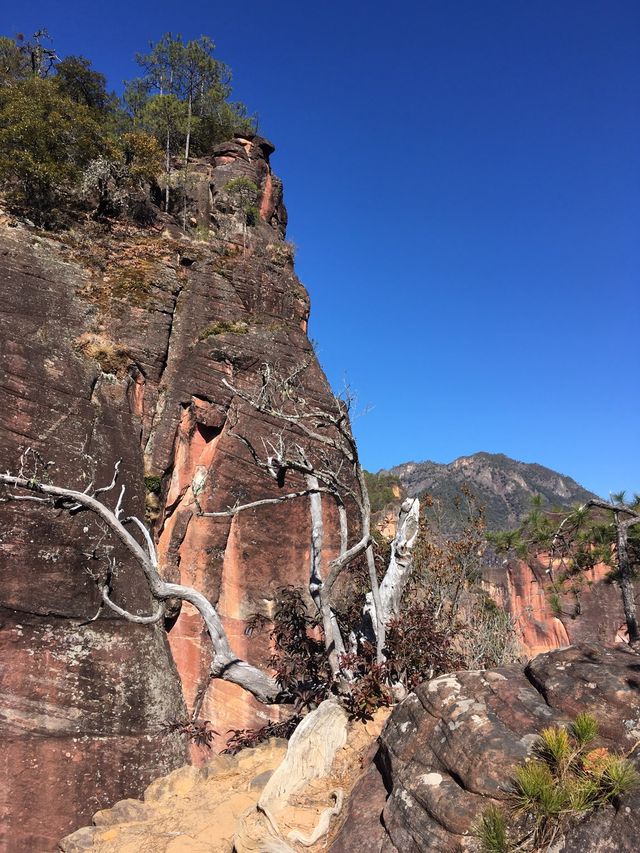 Amazing Lijiang - Laojun Mountain 
