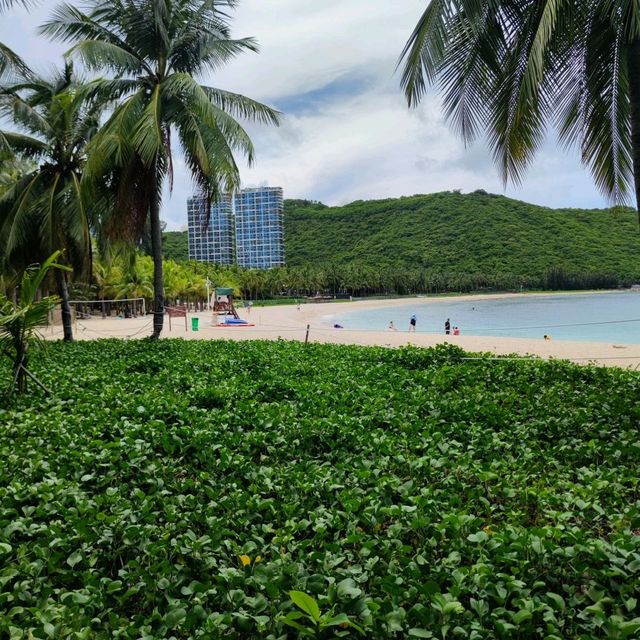 🌴A tiny slice of tropical paradise 🌴
