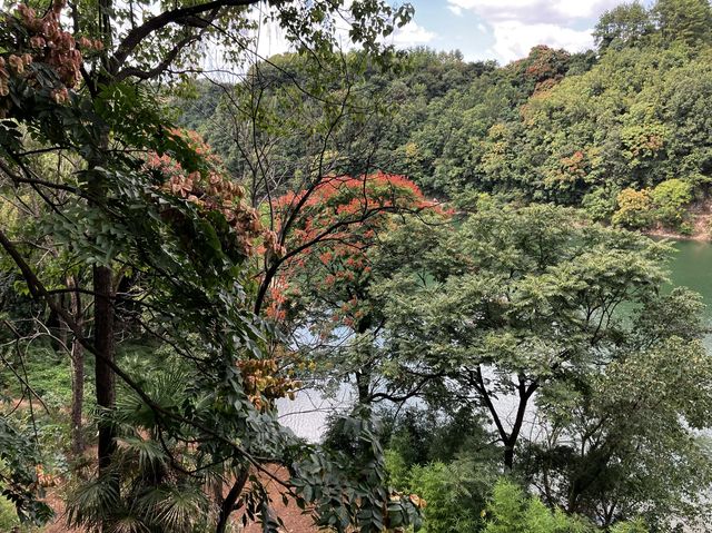 Seeing greenery & rare plants of Zhenshan  Seeing greenery & rare plants of Zhenshan