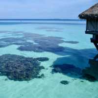 a Pink Sandy Atoll Island TRUE Paradise 