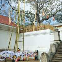 a unesco sacred city in Sri-Lanka