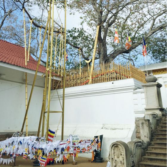 a unesco sacred city in Sri-Lanka