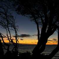 Brighton Beach | Melbourne