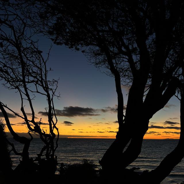 Brighton Beach | Melbourne