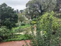 Visit Montpellier Botanical Garden.