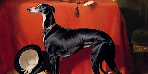 Greyhound Life Drawing | Woollahra Gallery at Redleaf
