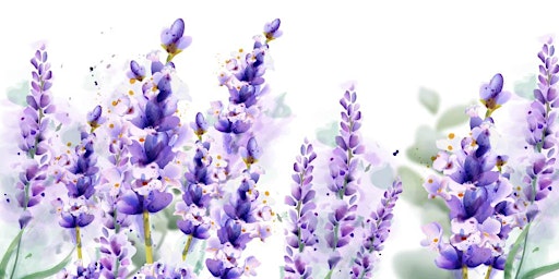 Painting Nature with Watercolour - April | Strathdon House and Orchard Precinct