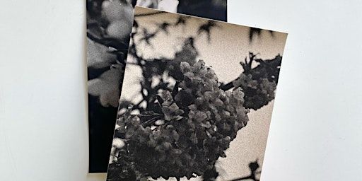 Gathering Processes & Plant-based Developers - Spring Workshop | The Margate School