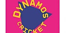 Dynamos Cricket Y3/4- TONBRIDGE | Tonbridge Cricket Club