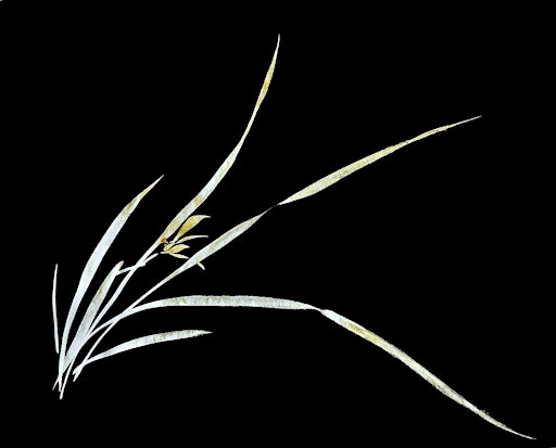 Shumei London presents: Lan Orchid - A Brush Painting Workshop 4/27/2025 | Shumei , London Irish centre ground floor(accessed from Murray Street)
