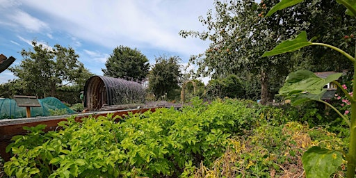 Guided Tour of St Ann's Allotments | St Ann's Allotments