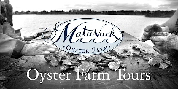 Oyster Farm Tour | Matunuck Oyster Bar