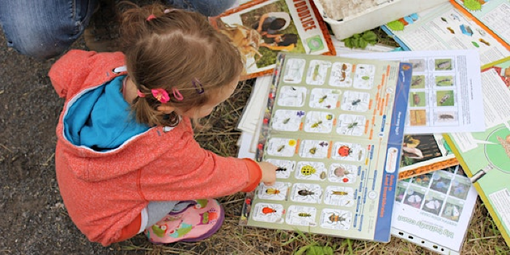 Miraculous minibeasts at NWT Hickling Broad (EDU FAMILY) | Norfolk Wildlife Trust Hickling Broad and Marshes Visitor Centre