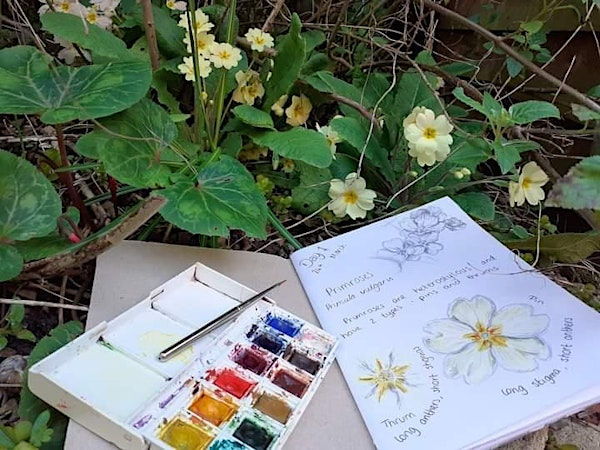 Nature Journaling for Children | Abberton Reservoir Nature Discovery Park