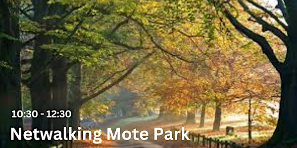 Maidstone Netwalking - Mote Park | Mote Park