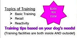 Every Saturday This Summer - Dog Training Meets Nature! | 6807 Finnerty Side Rd