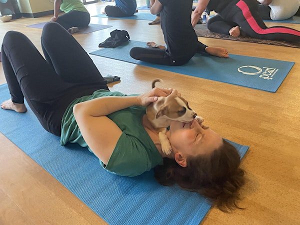 Doggy Noses & Yoga Poses at Crunch Fitness Hackettstown | Crunch Fitness - Hackettstown