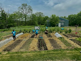 The Living Soil | 2429 County Rd 25