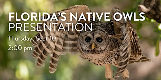 Florida's Native Owls Presentation | Bay Preserve