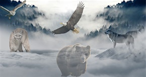 Introduction to Shamanism & The Shamanic Journey - Evening Workshop | BEAT - Belonging, Empowering & Thriving