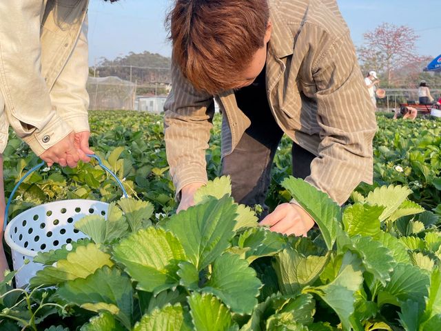 ［元朗一日遊］