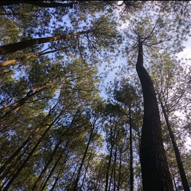 Wake Up in Nature
