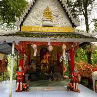 ดอกไม้สีชมพูที่ใกล้สูญพันธุ์ พบแห่งเดียวในโลก 