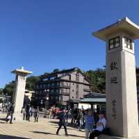 宮島の紅葉はレベルが違う⁉️