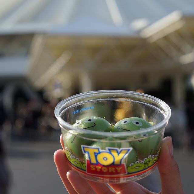 【千葉】東京ディズニーランド