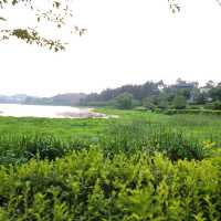 군산 은파호수공원