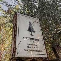 STAY WITH TREE cafe 🍃🌳☕️