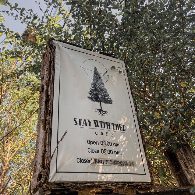 STAY WITH TREE cafe 🍃🌳☕️